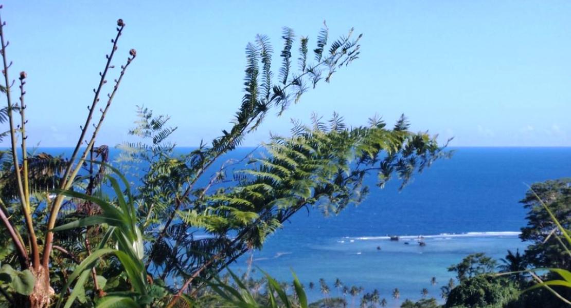 Property SAVUSAVU FIJI SouthPacificRealEstate